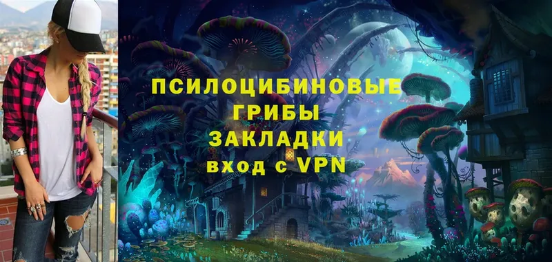 Псилоцибиновые грибы MAGIC MUSHROOMS  OMG как зайти  Артёмовский 